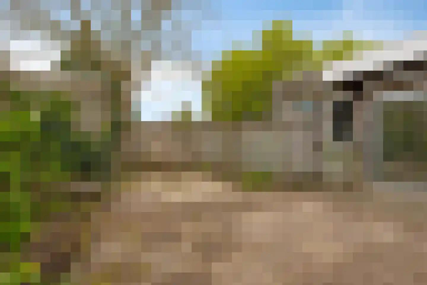 Bijsteren 15 's-Hertogenbosch thumbnail 14