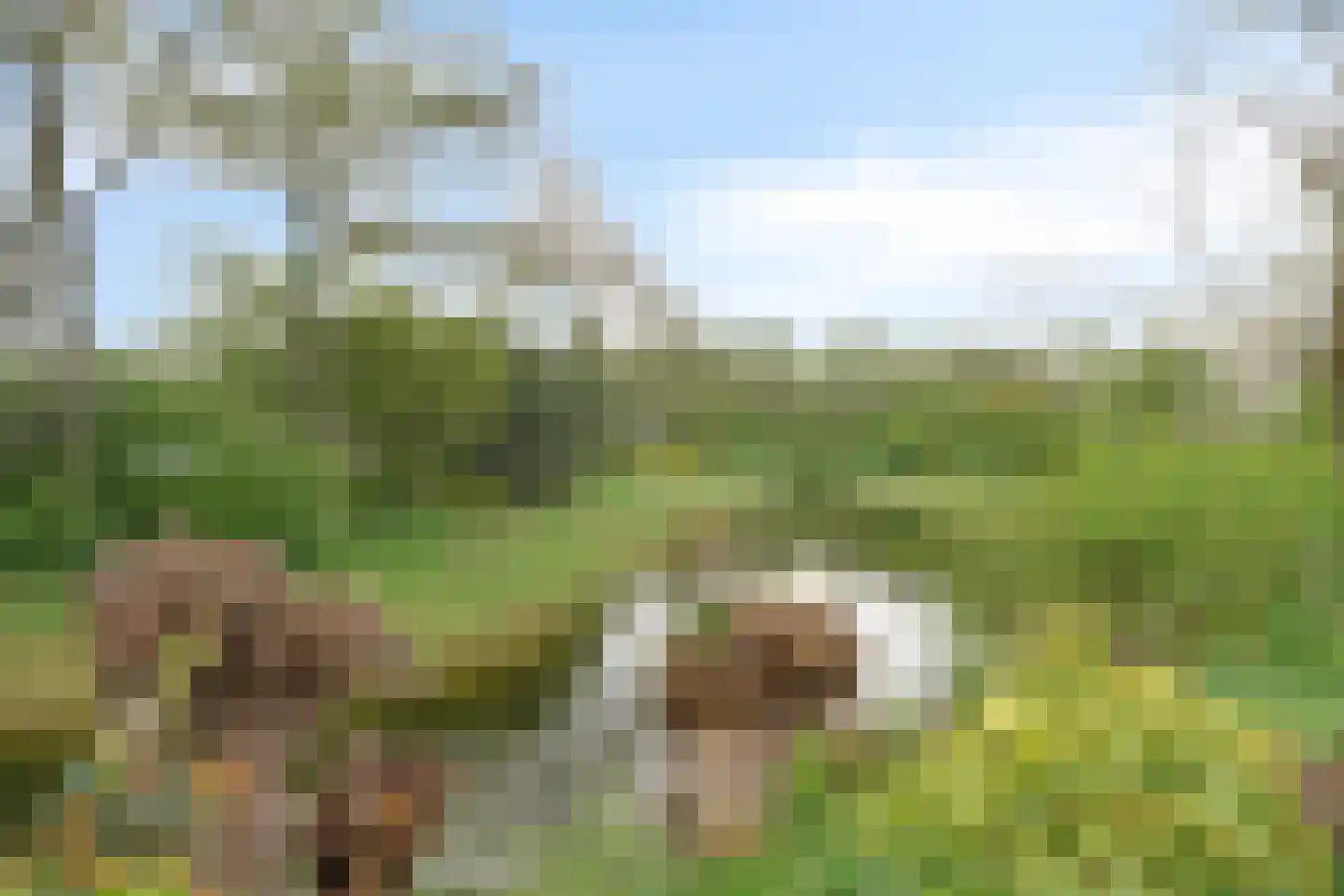 Bijsteren 15 's-Hertogenbosch thumbnail 22
