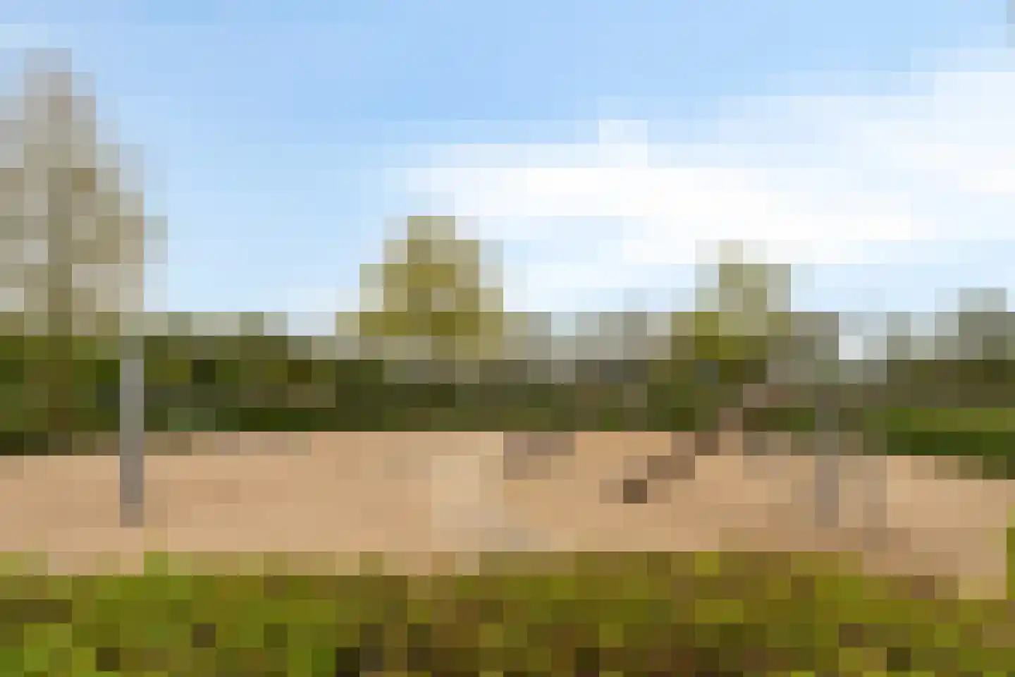 Bijsteren 15 's-Hertogenbosch thumbnail 23