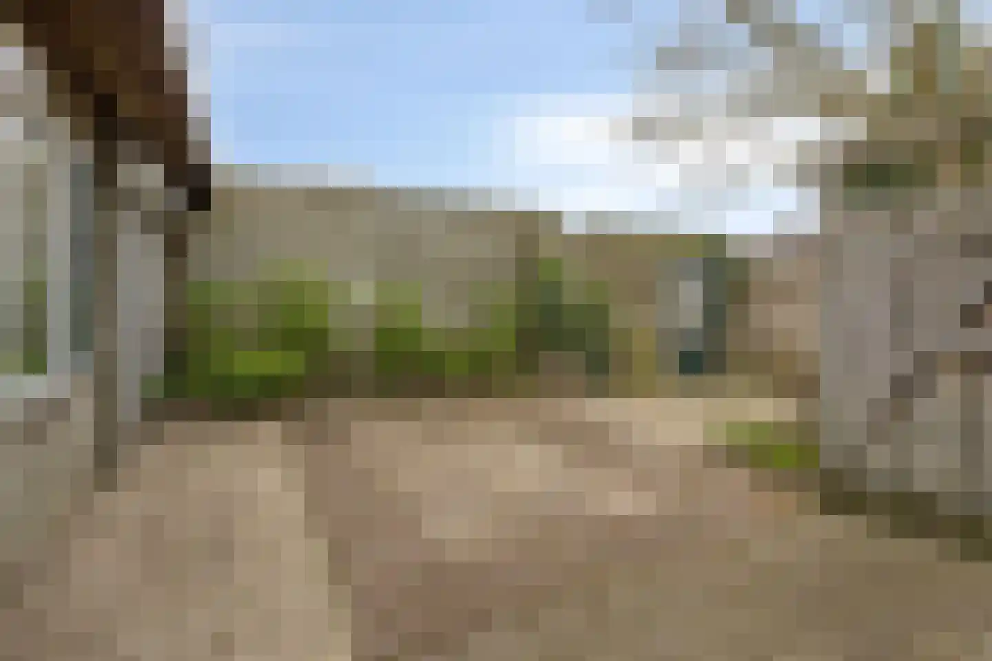 Bijsteren 15 's-Hertogenbosch thumbnail 6