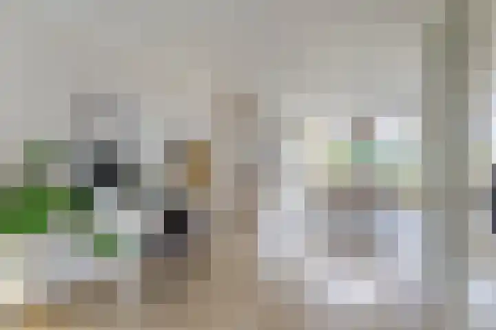 Bijsteren 23 's-Hertogenbosch thumbnail 13