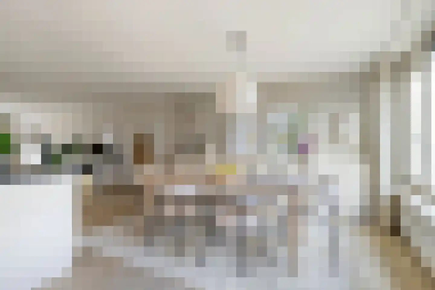 Bijsteren 23 's-Hertogenbosch thumbnail 14