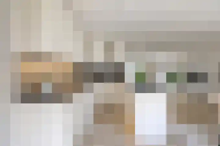 Bijsteren 23 's-Hertogenbosch thumbnail 17