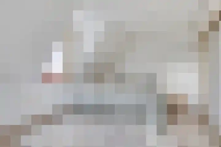 Bijsteren 23 's-Hertogenbosch thumbnail 20