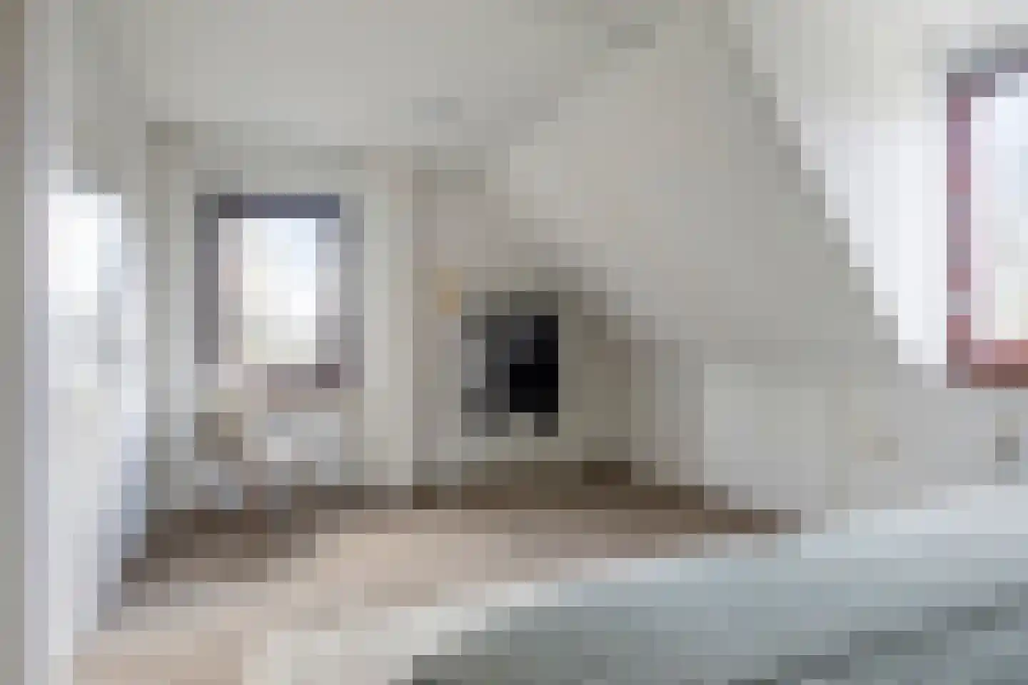 Bijsteren 23 's-Hertogenbosch thumbnail 22