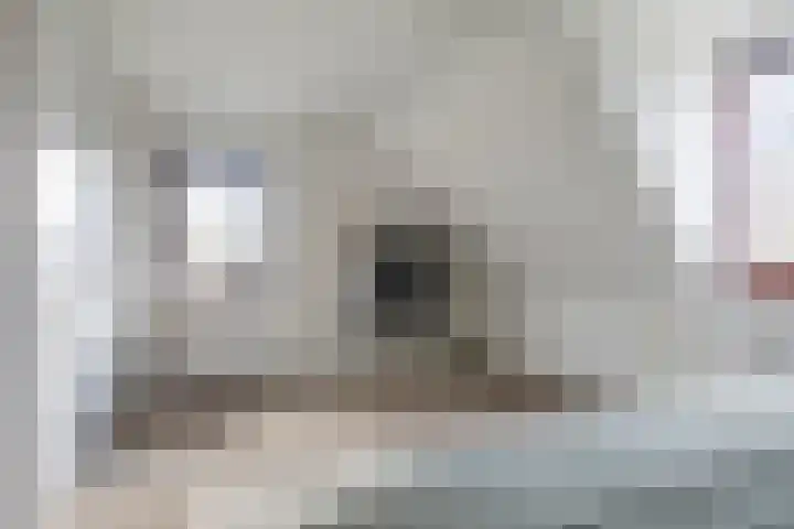 Bijsteren 23 's-Hertogenbosch thumbnail 22