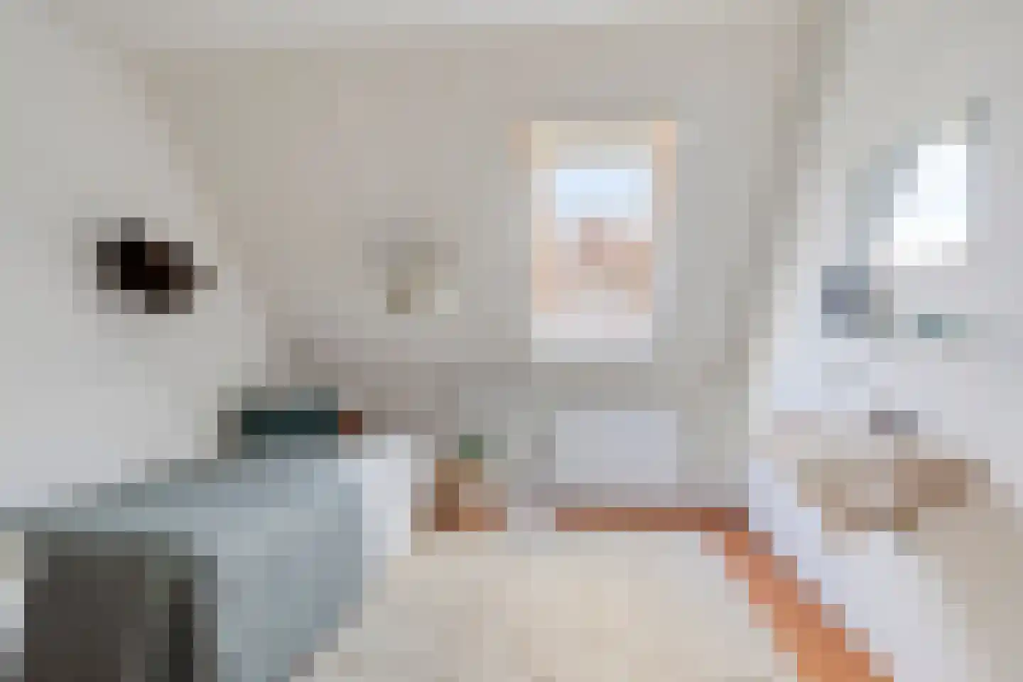 Bijsteren 23 's-Hertogenbosch thumbnail 25