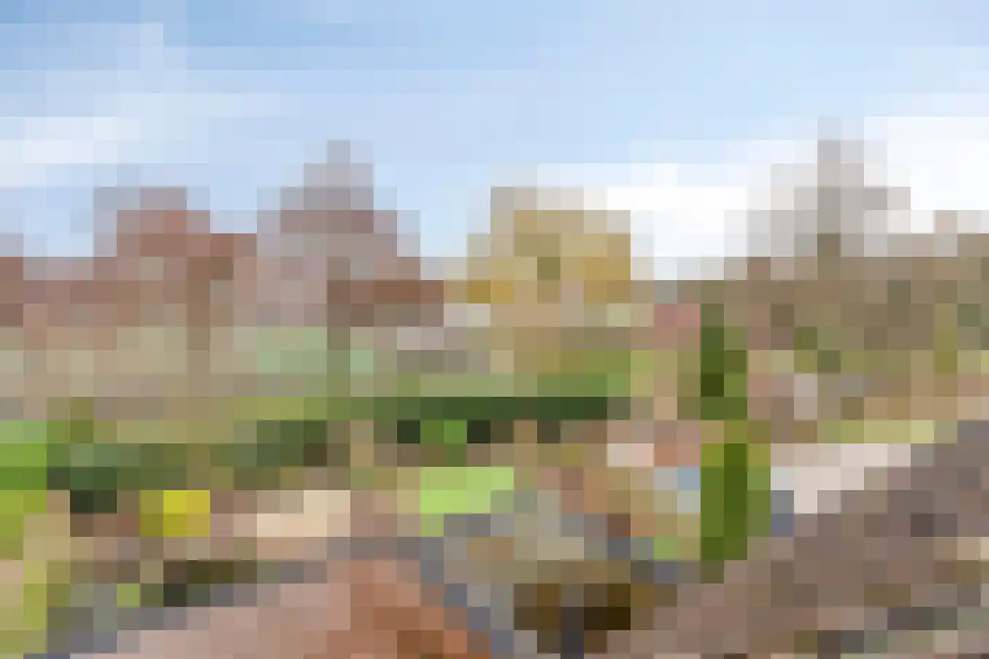 Bijsteren 23 's-Hertogenbosch thumbnail 29