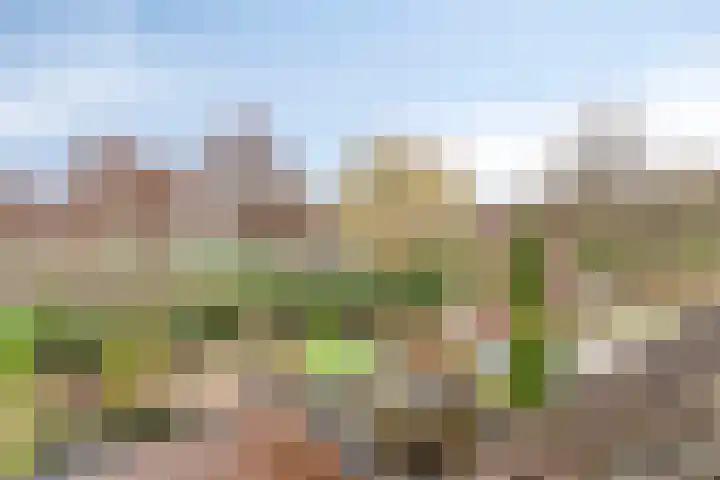 Bijsteren 23 's-Hertogenbosch thumbnail 29