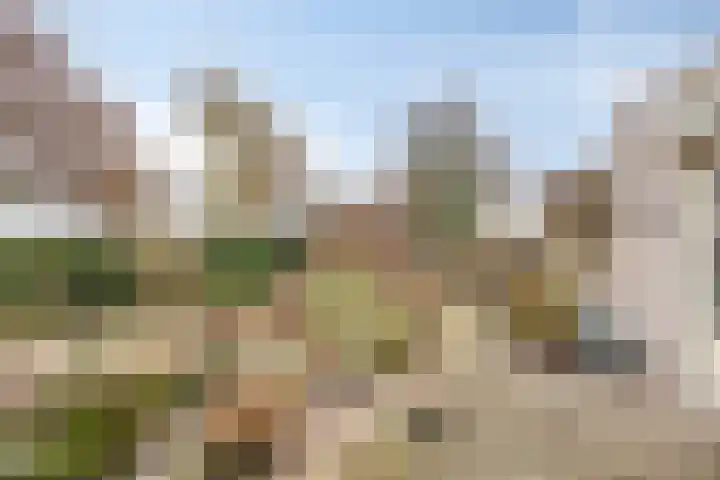 Bijsteren 23 's-Hertogenbosch thumbnail 31