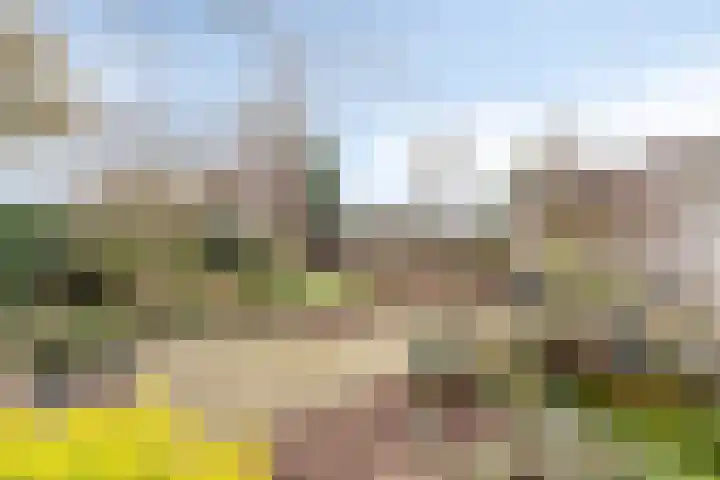 Bijsteren 23 's-Hertogenbosch thumbnail 32