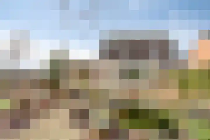 Bijsteren 23 's-Hertogenbosch thumbnail 33