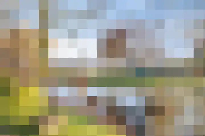 Bijsteren 23 's-Hertogenbosch thumbnail 36
