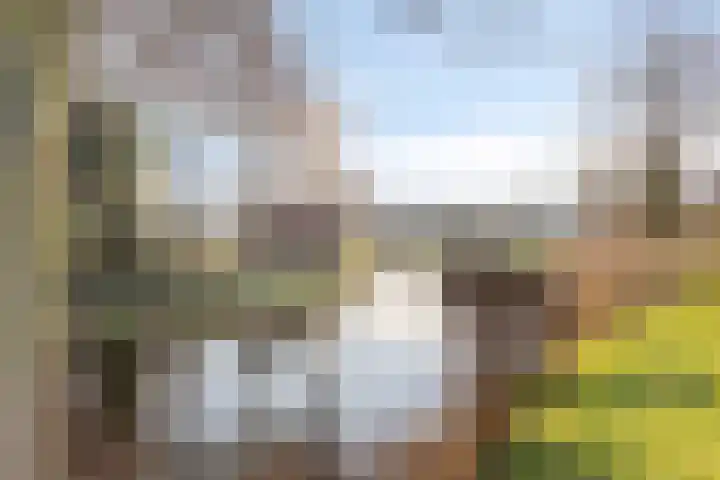 Bijsteren 23 's-Hertogenbosch thumbnail 37