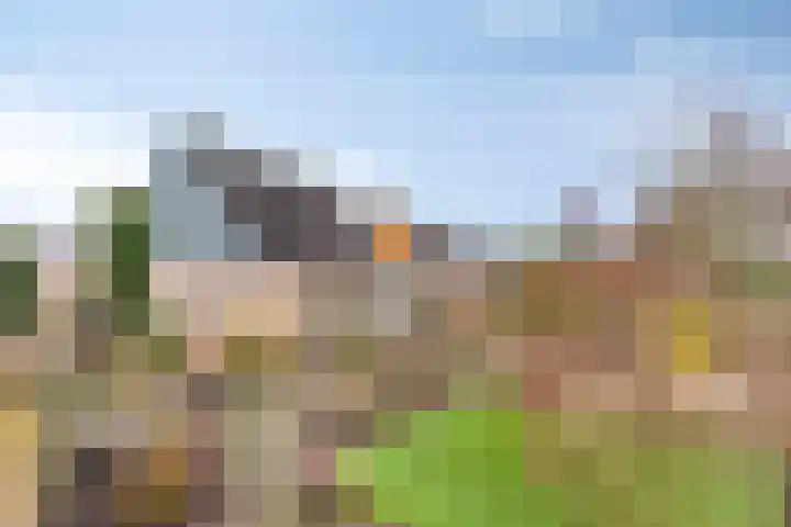 Bijsteren 23 's-Hertogenbosch thumbnail 4