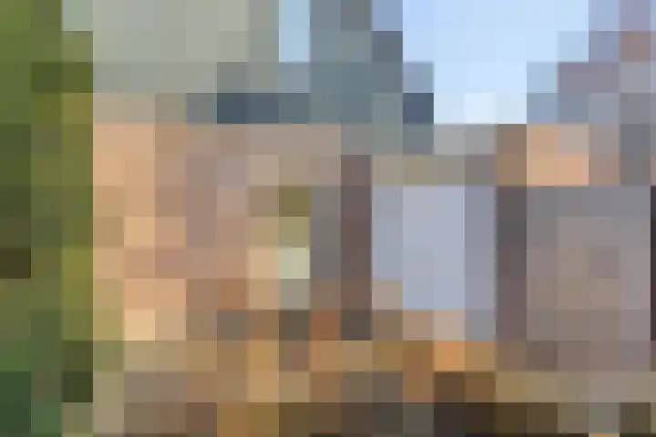 Bijsteren 23 's-Hertogenbosch thumbnail 5