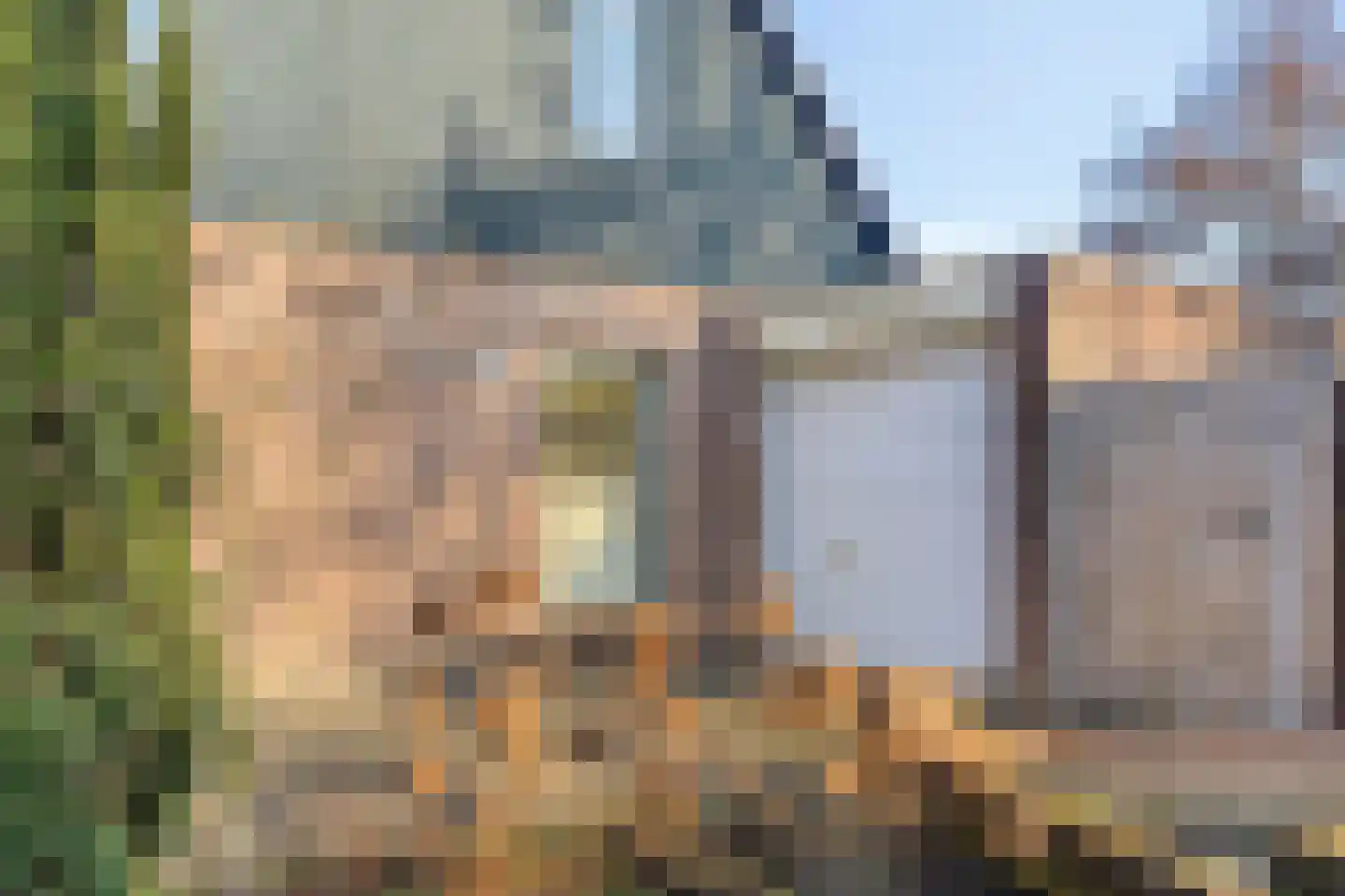 Bijsteren 23 's-Hertogenbosch thumbnail 5