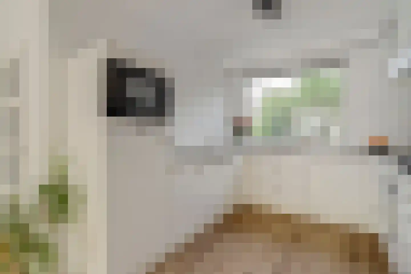 Bijsteren 34 's-Hertogenbosch thumbnail 11