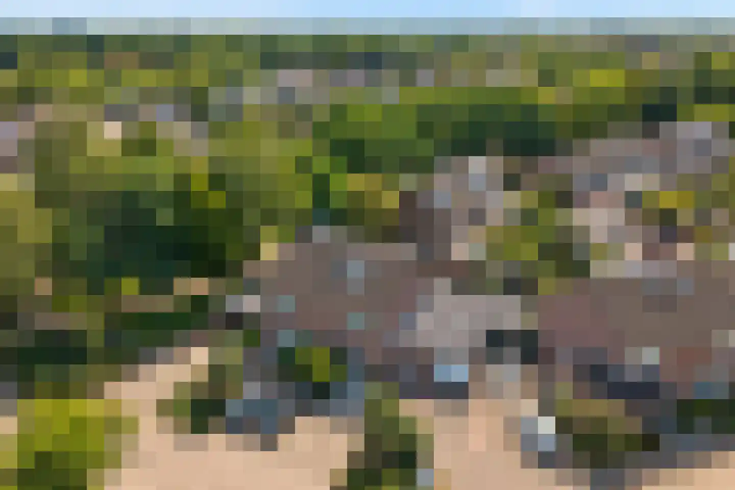 Bijsteren 34 's-Hertogenbosch thumbnail 42