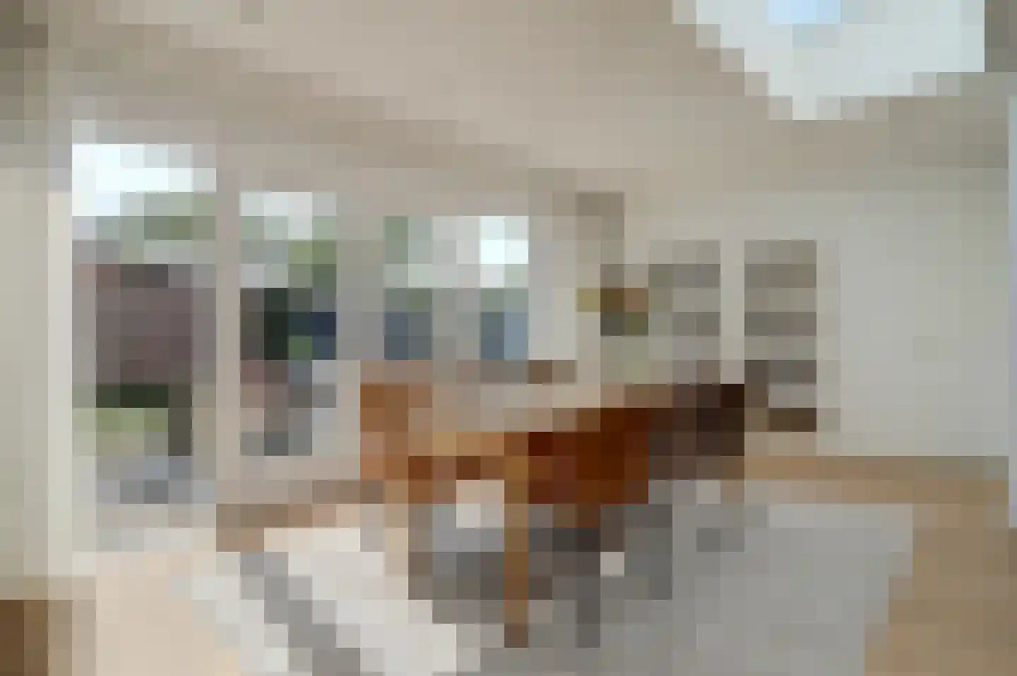 Bijsteren 34 's-Hertogenbosch thumbnail 6