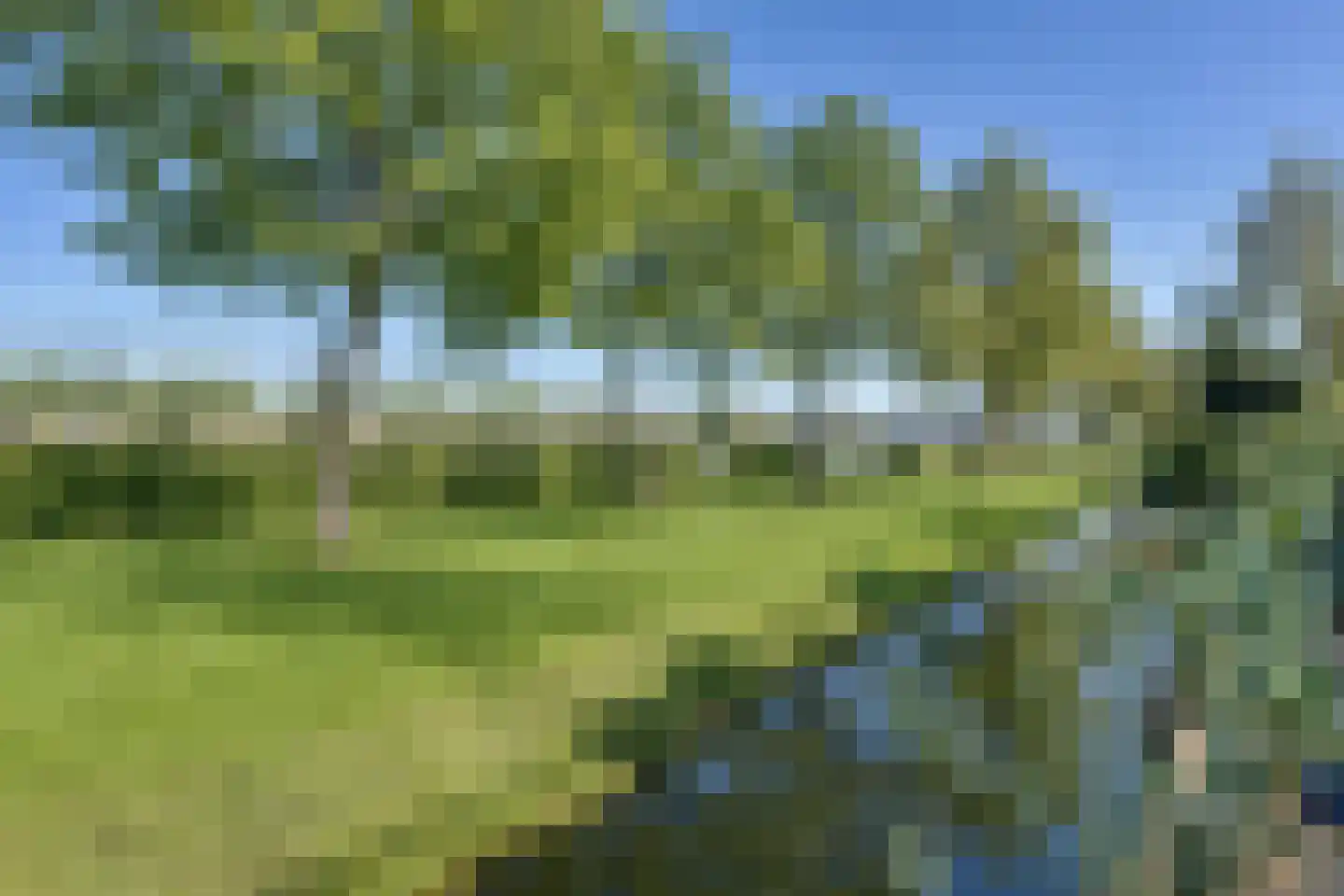Bijsteren 45 's-Hertogenbosch thumbnail 24