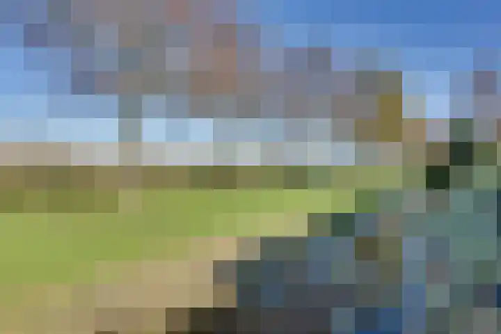 Bijsteren 45 's-Hertogenbosch thumbnail 25