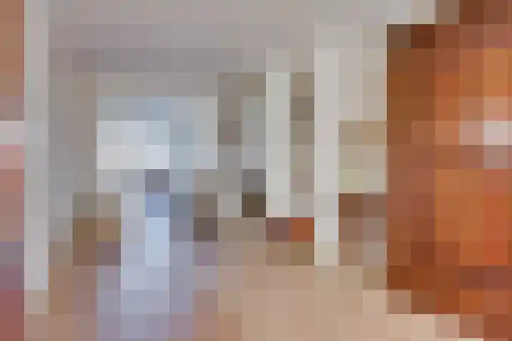 Bijsteren 45 's-Hertogenbosch thumbnail 5