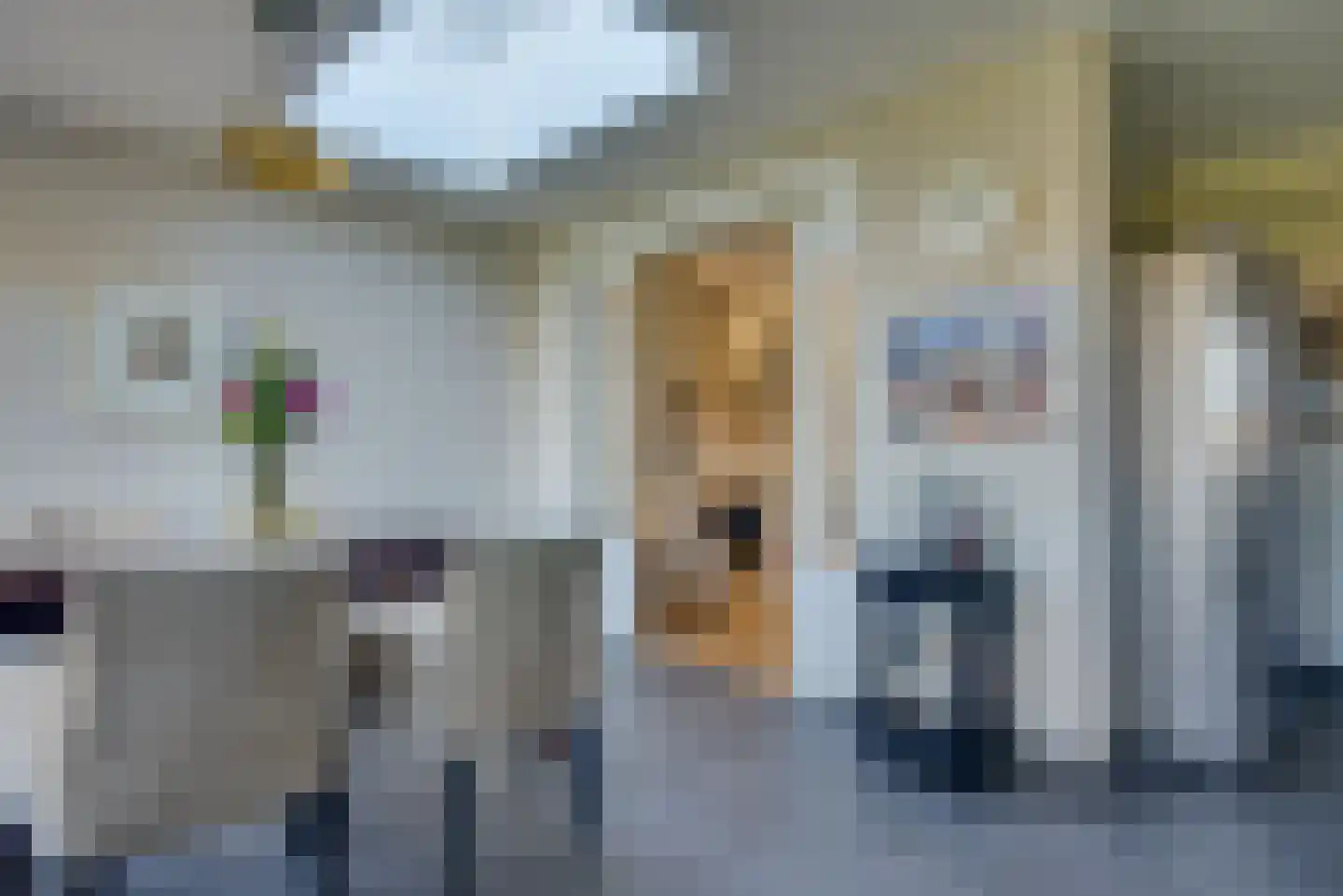 Bijsteren 45 's-Hertogenbosch thumbnail 9