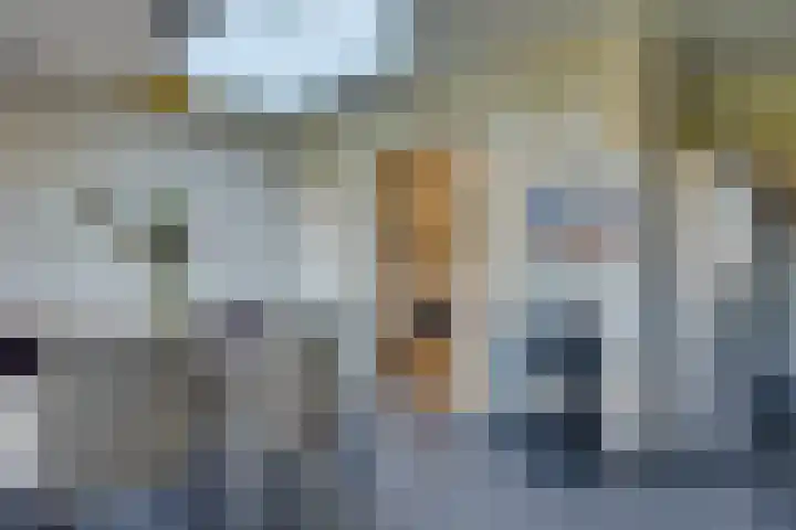 Bijsteren 45 's-Hertogenbosch thumbnail 9
