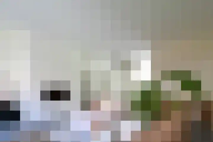 Bijsterense Slagen 40 Putten thumbnail 12
