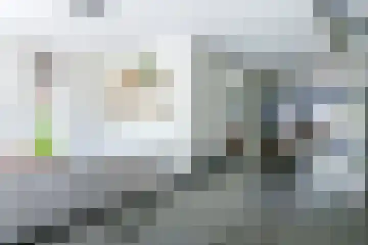 Bijsterense Slagen 40 Putten thumbnail 23