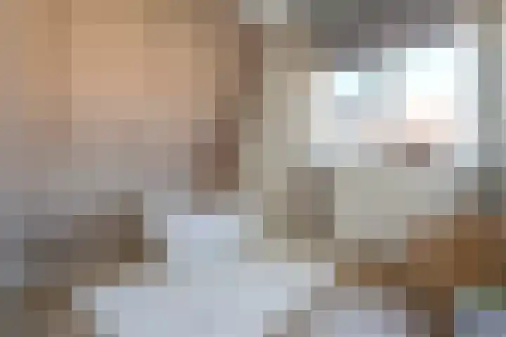 Bijsterense Slagen 40 Putten thumbnail 32
