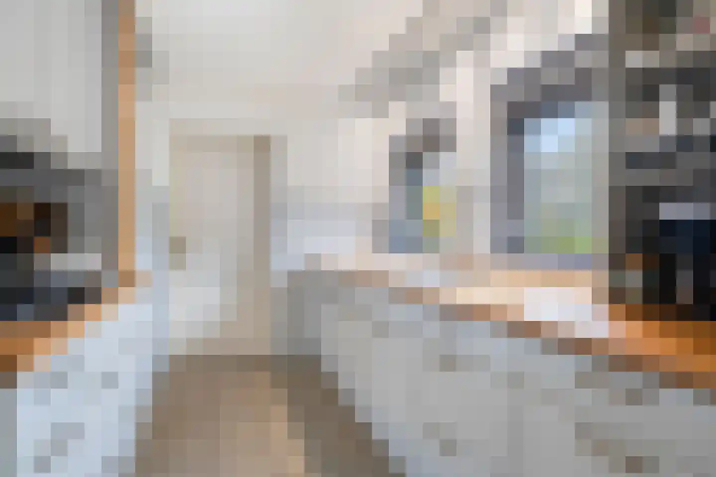 Bijsters 18 Alphen thumbnail 13