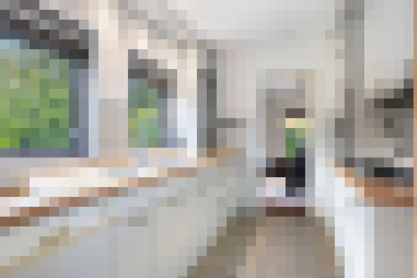 Bijsters 18 Alphen thumbnail 15