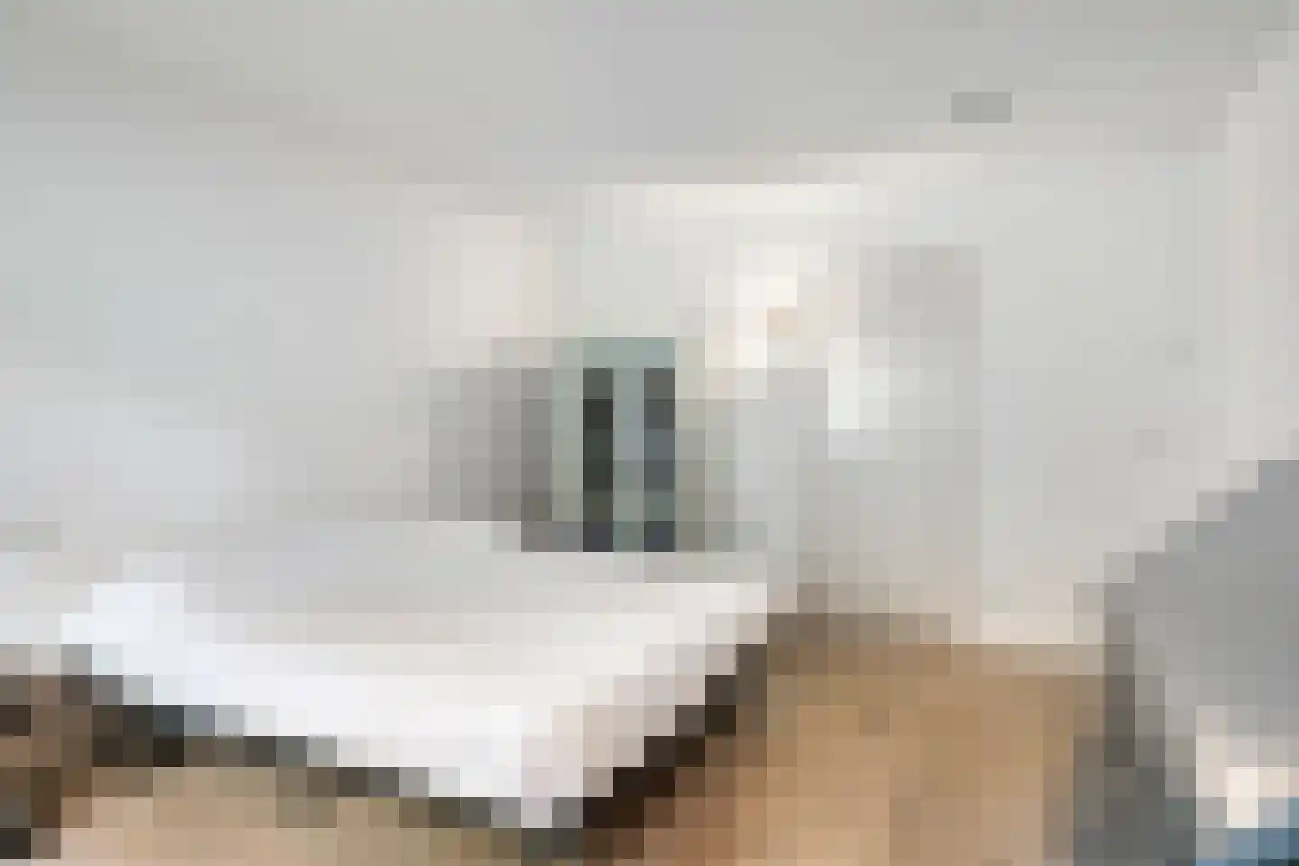 Bijsters 18 Alphen thumbnail 37