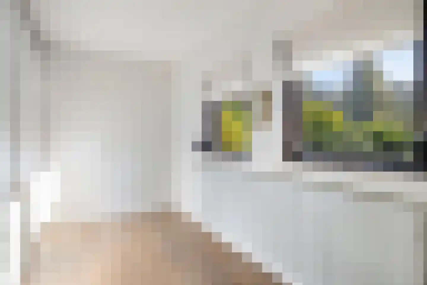 Bijsters 18 Alphen thumbnail 38