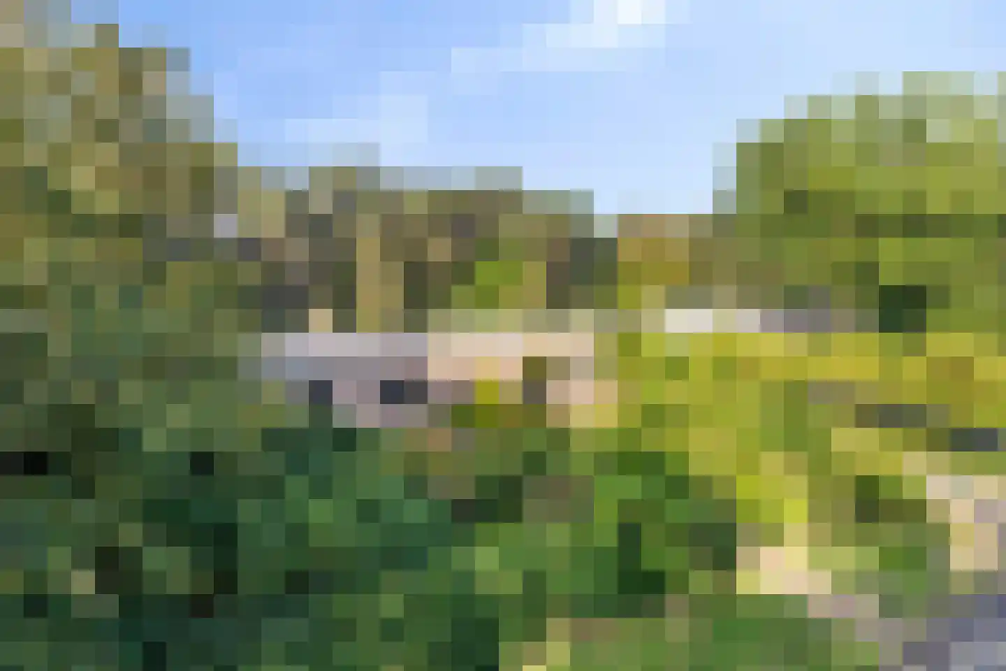 Bijsters 18 Alphen thumbnail 4
