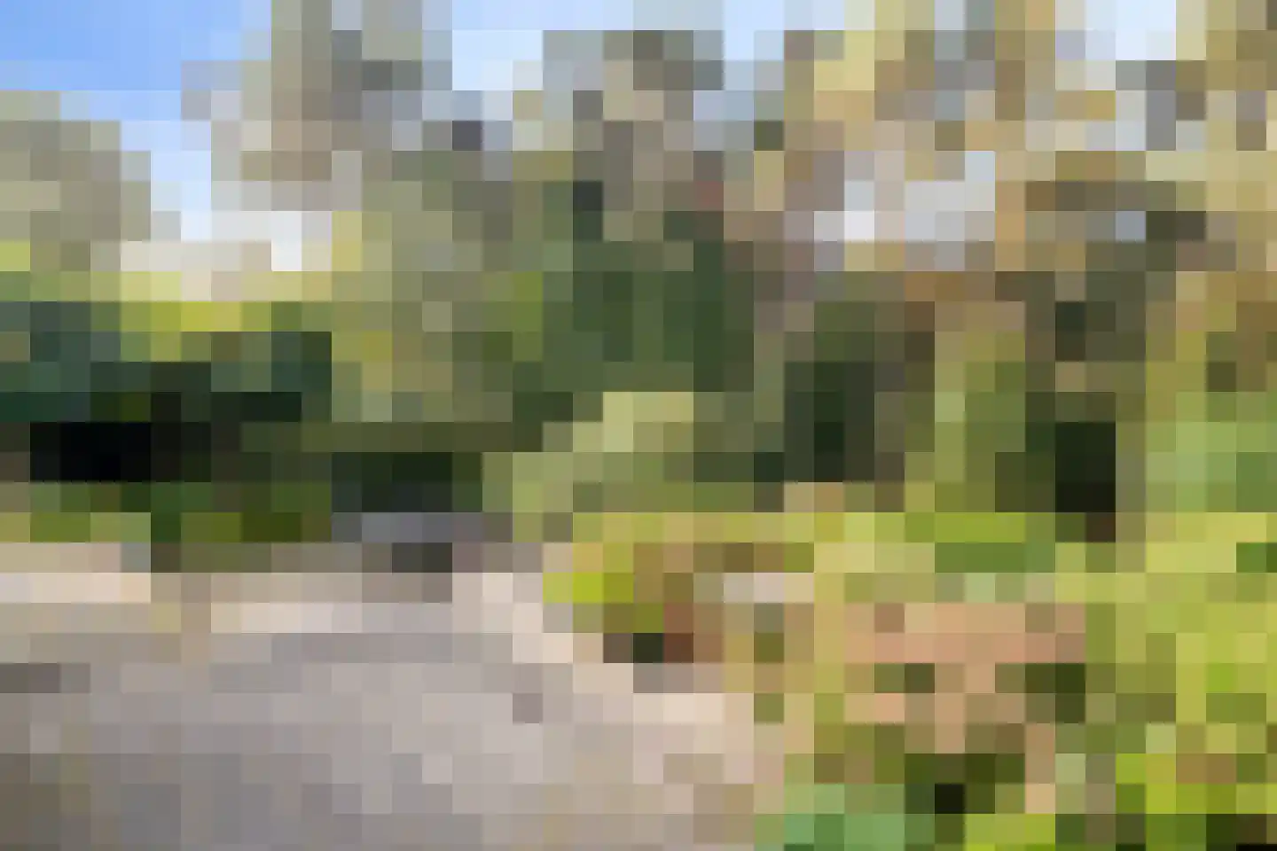 Bijsters 18 Alphen thumbnail 48