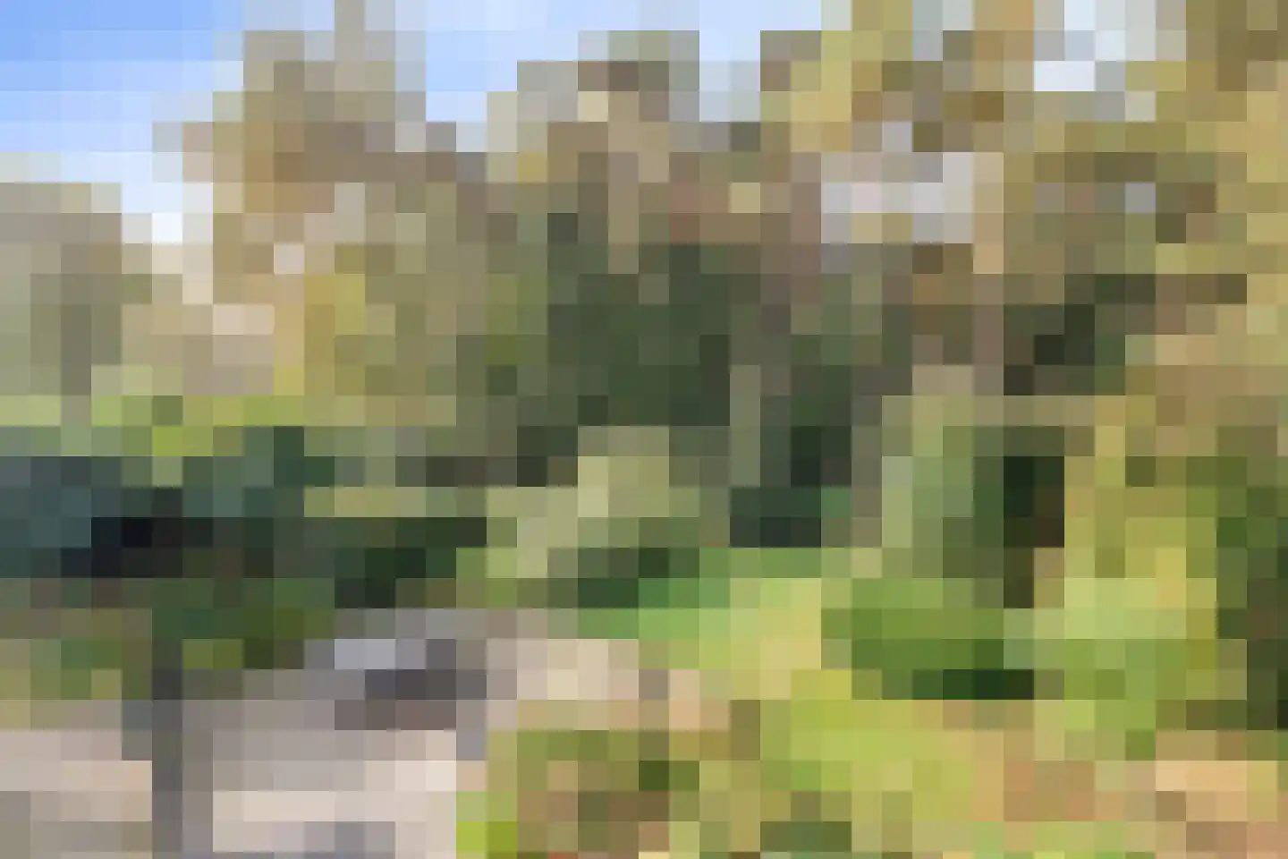 Bijsters 18 Alphen thumbnail 49