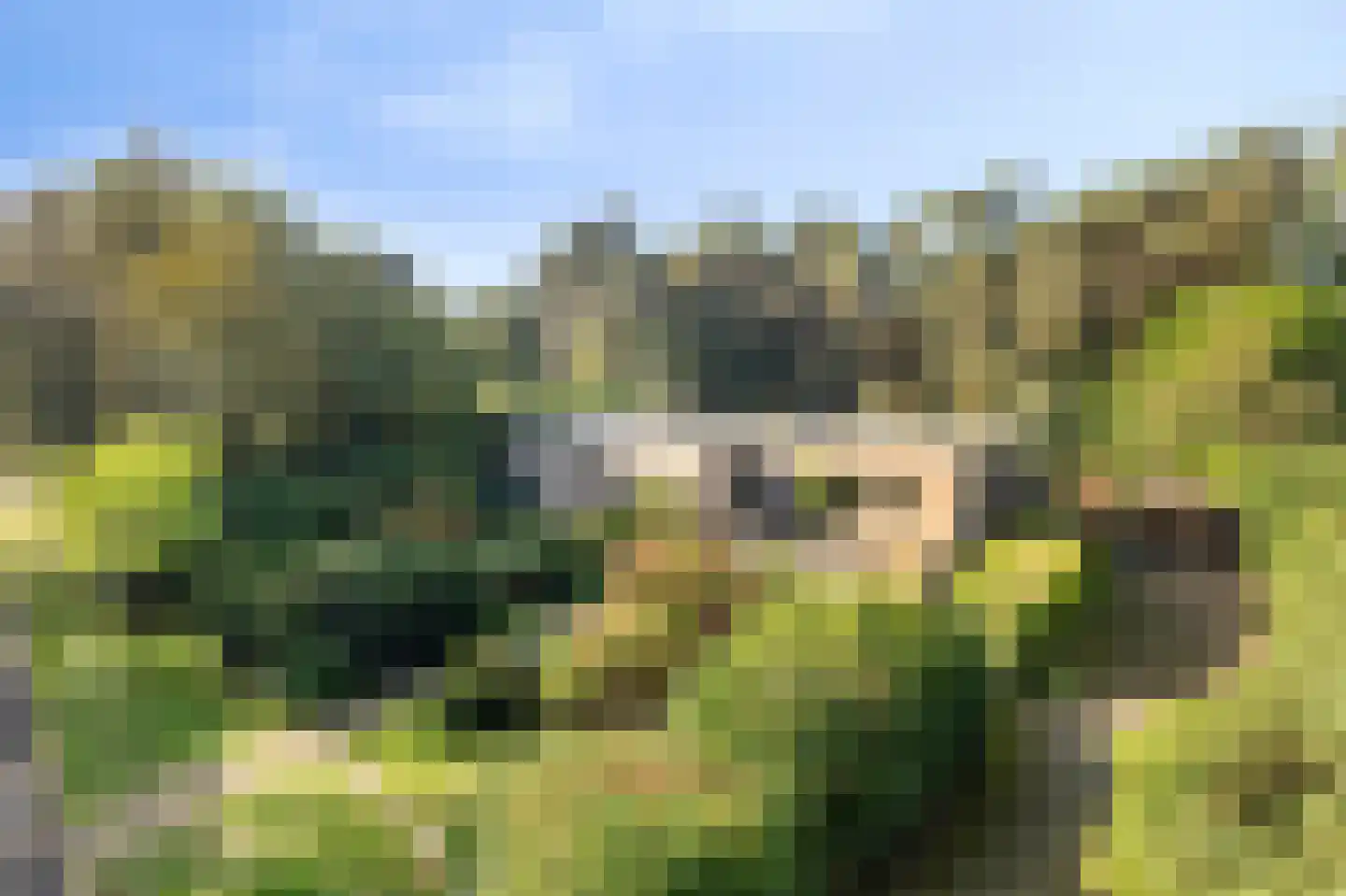 Bijsters 18 Alphen thumbnail 5