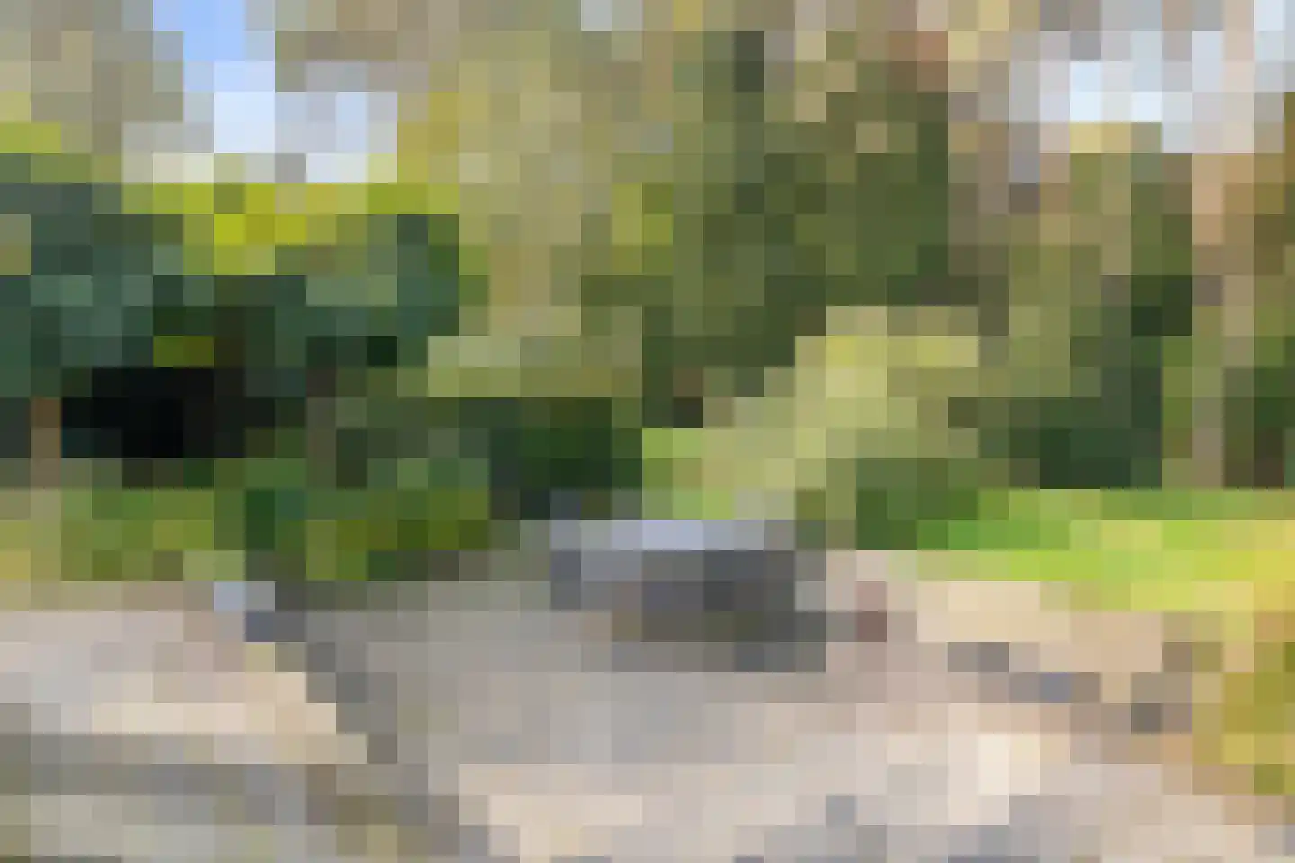 Bijsters 18 Alphen thumbnail 50