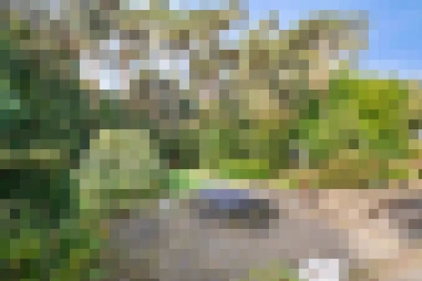 Bijsters 18 Alphen thumbnail 51