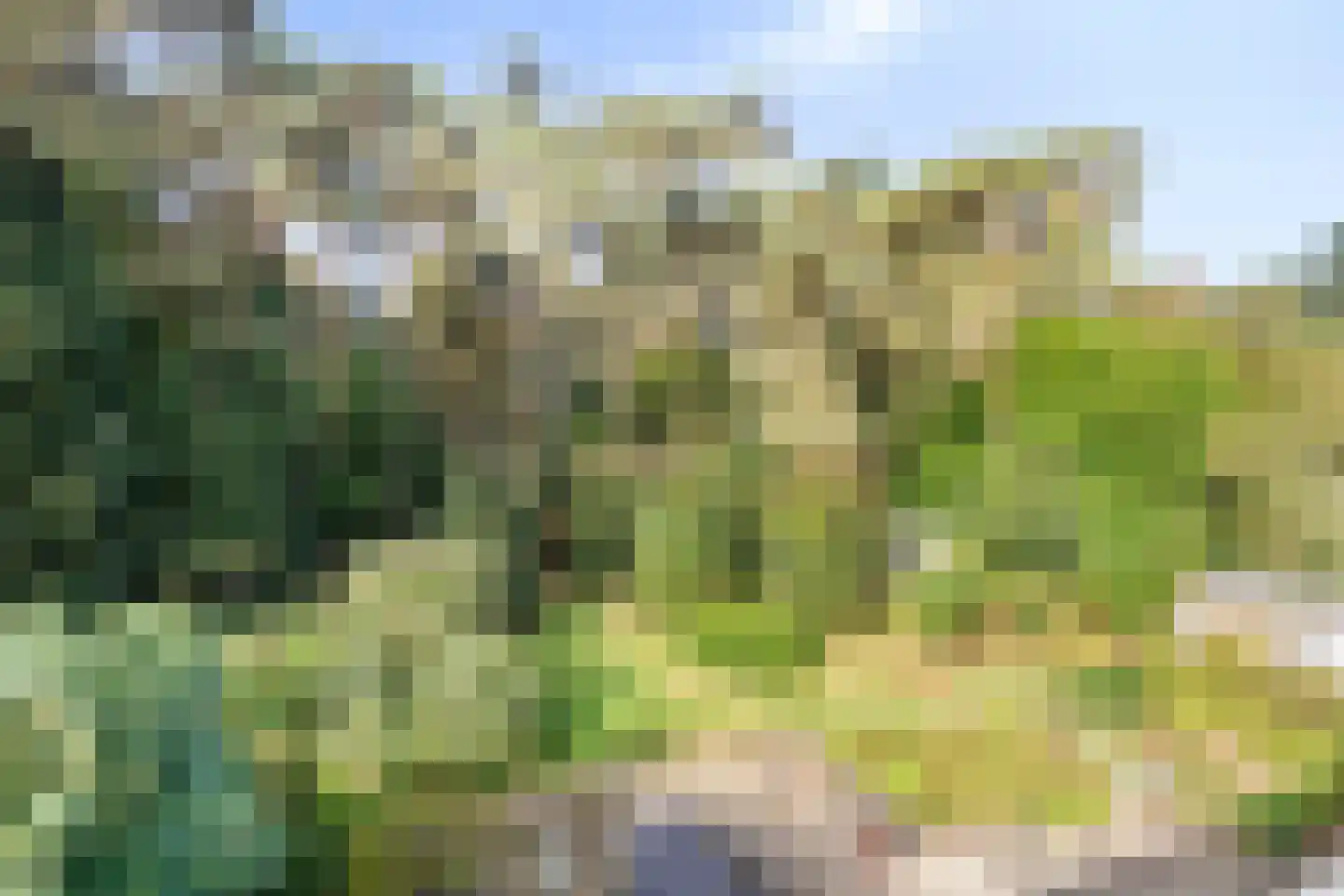 Bijsters 18 Alphen thumbnail 52
