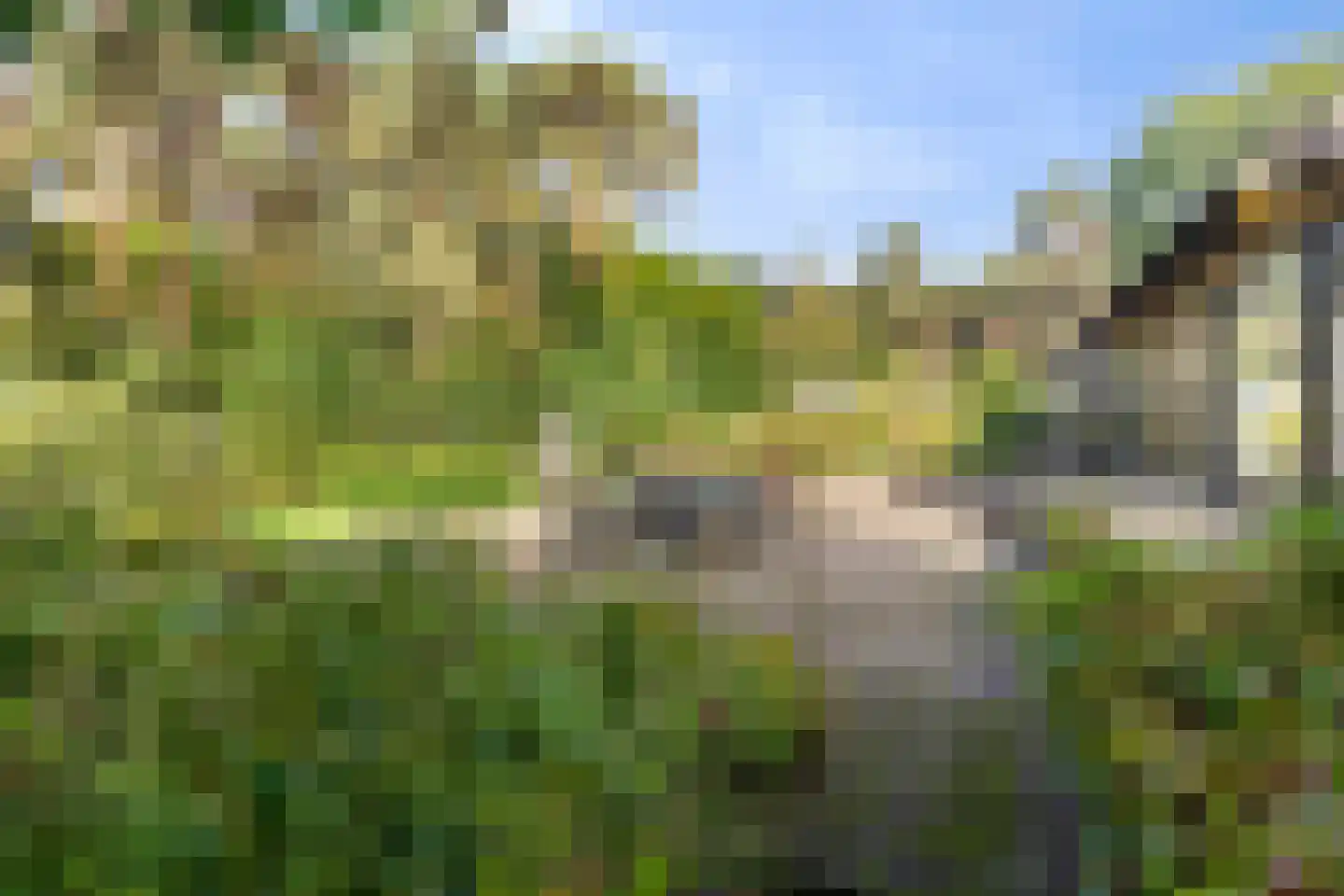 Bijsters 18 Alphen thumbnail 53