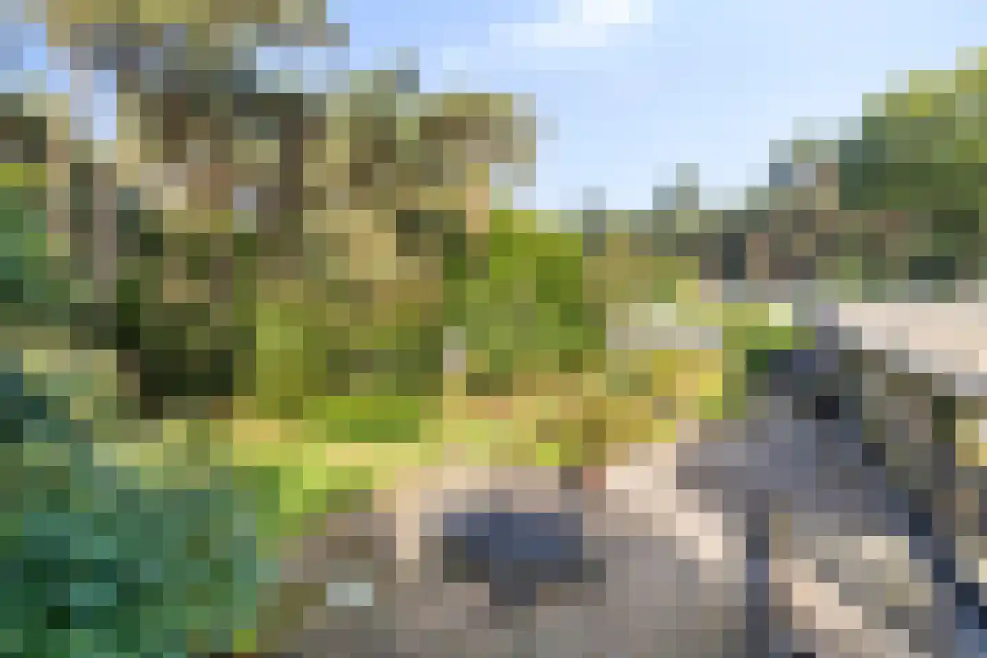Bijsters 18 Alphen thumbnail 54