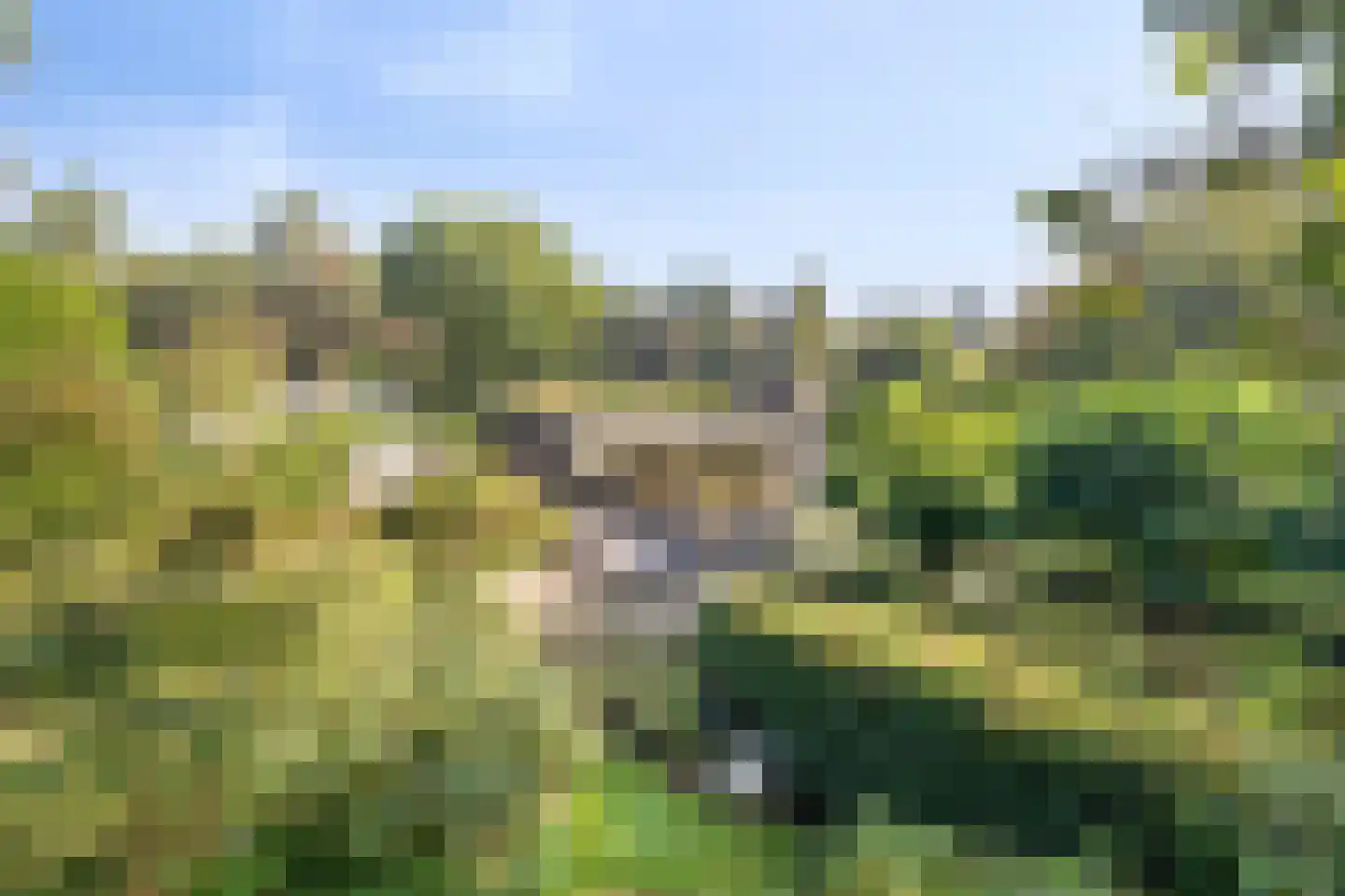 Bijsters 18 Alphen thumbnail 58