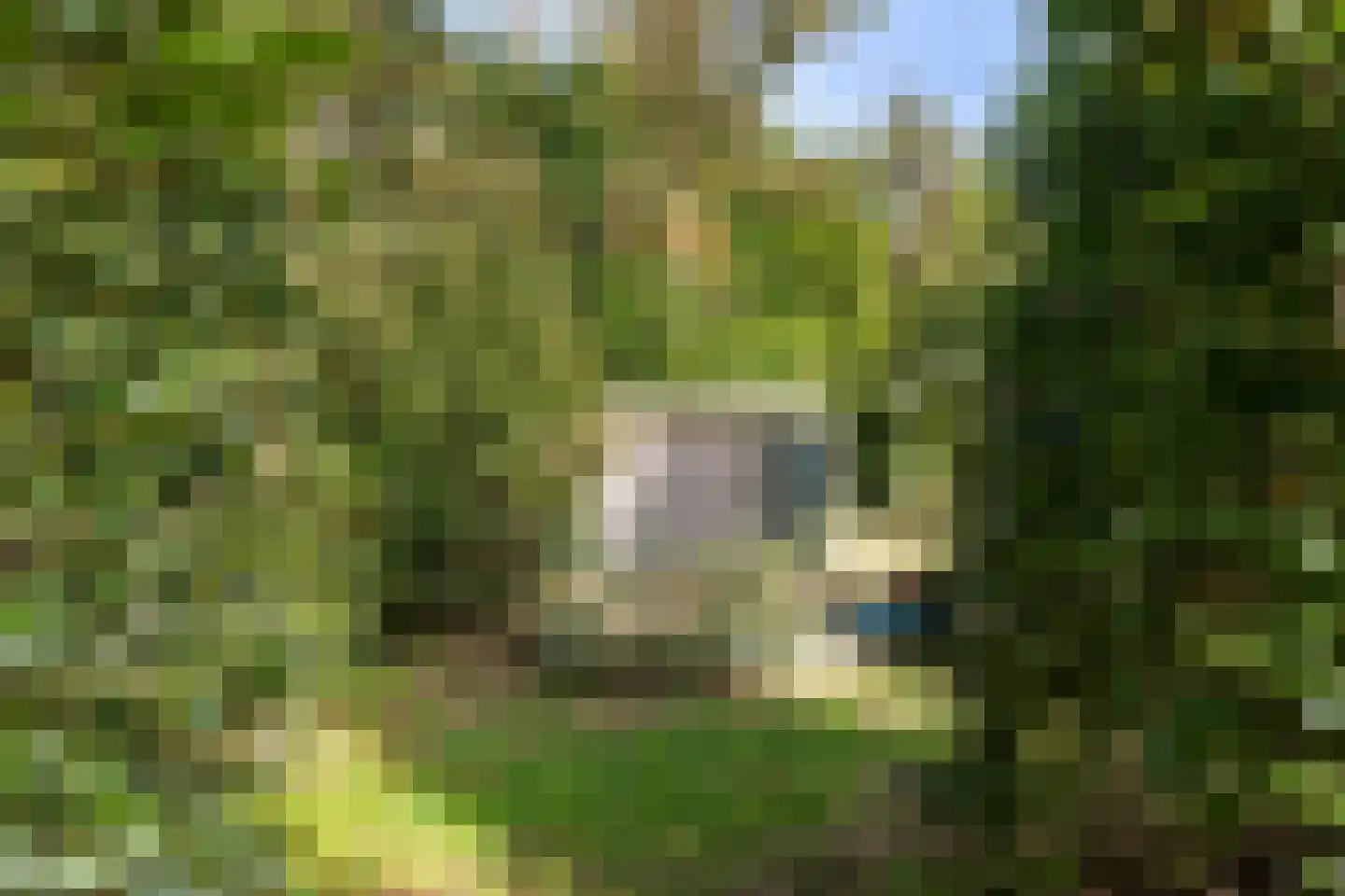 Bijsters 18 Alphen thumbnail 60