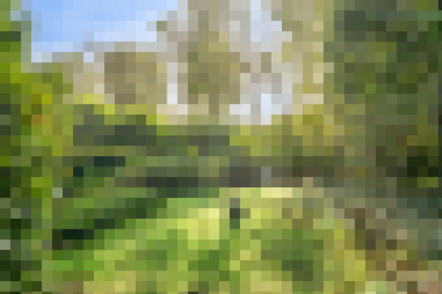 Bijsters 18 Alphen thumbnail 61