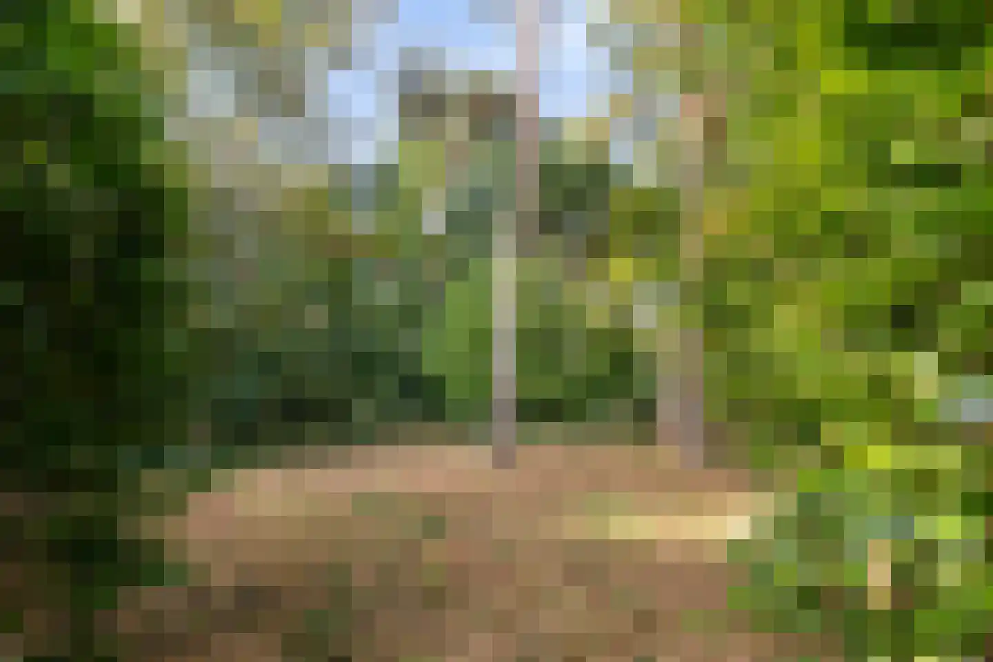 Bijsters 18 Alphen thumbnail 62