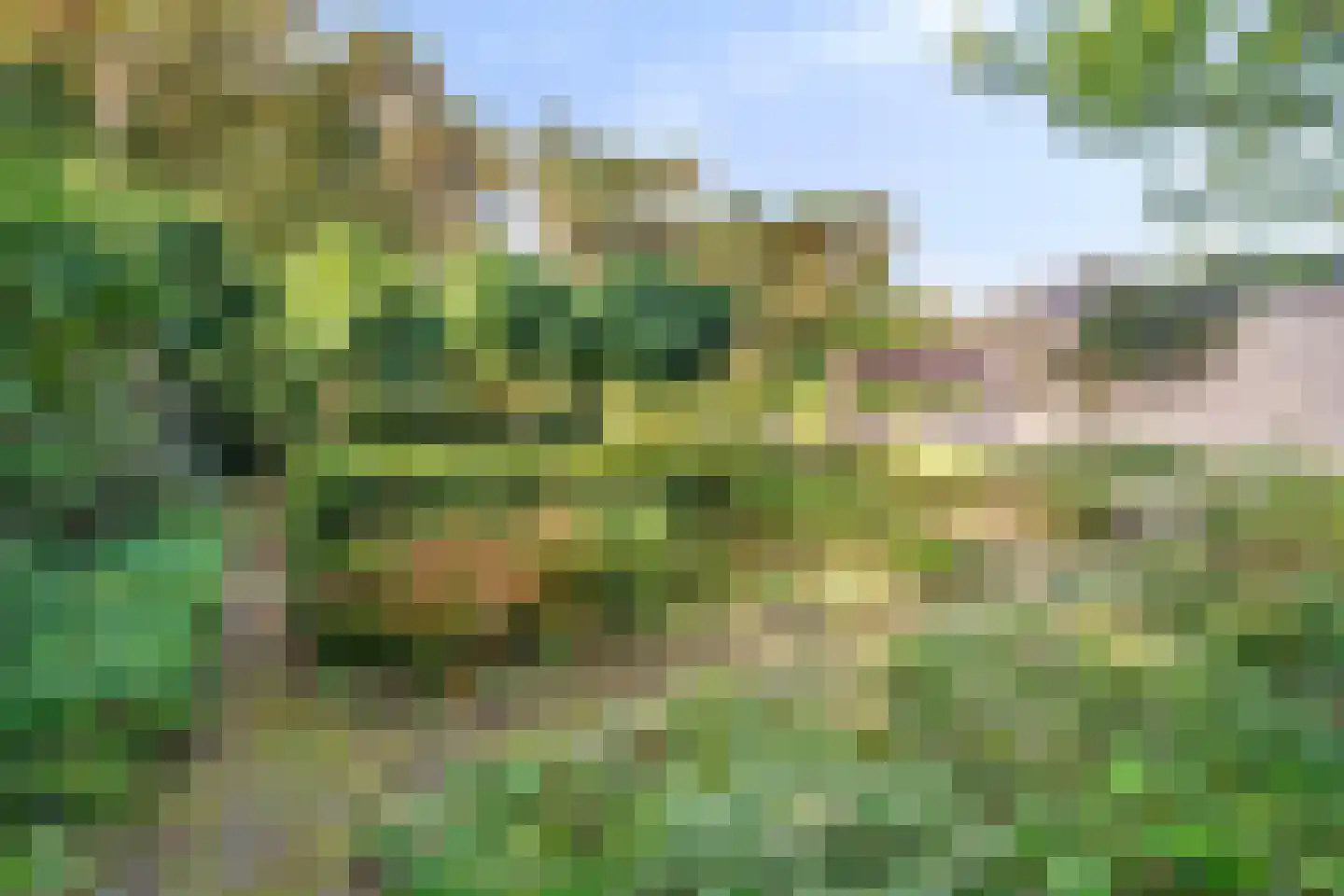 Bijsters 18 Alphen thumbnail 63